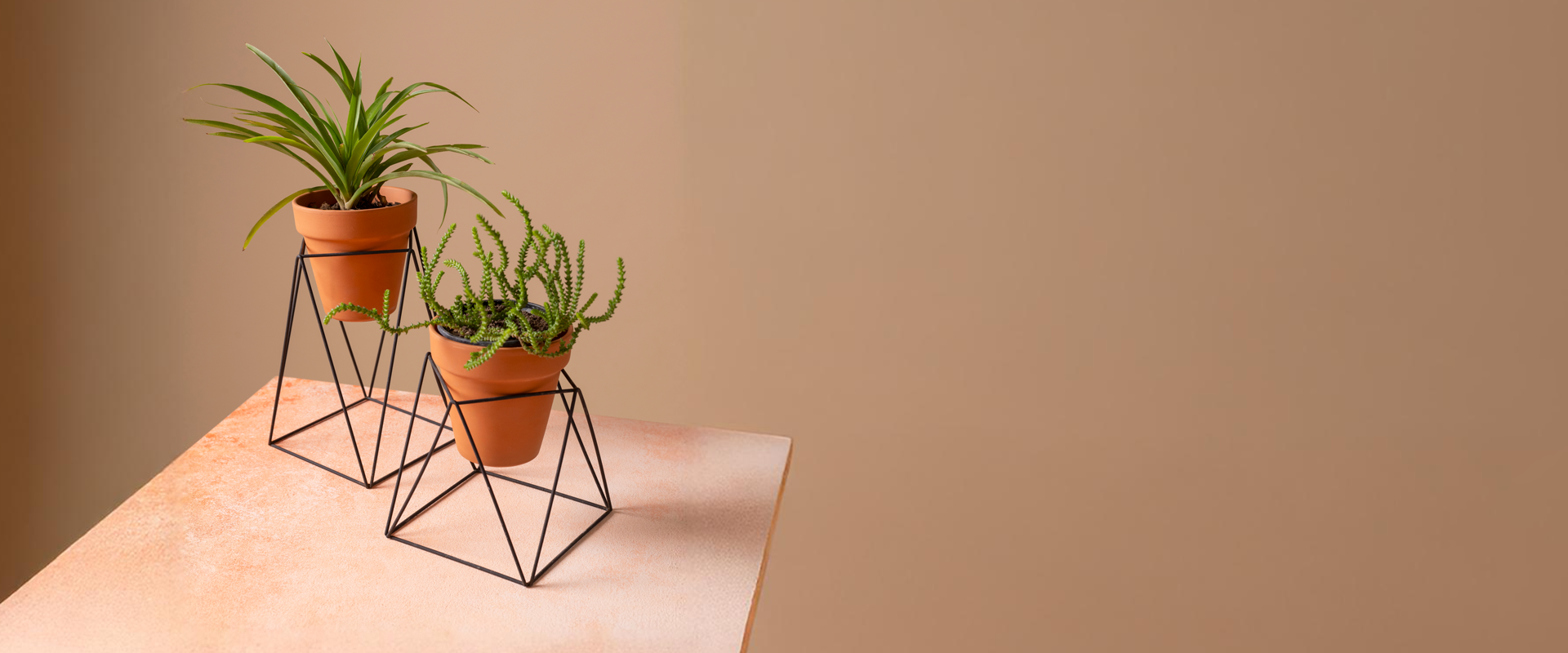 slider image 1621243260e1af0c20-0